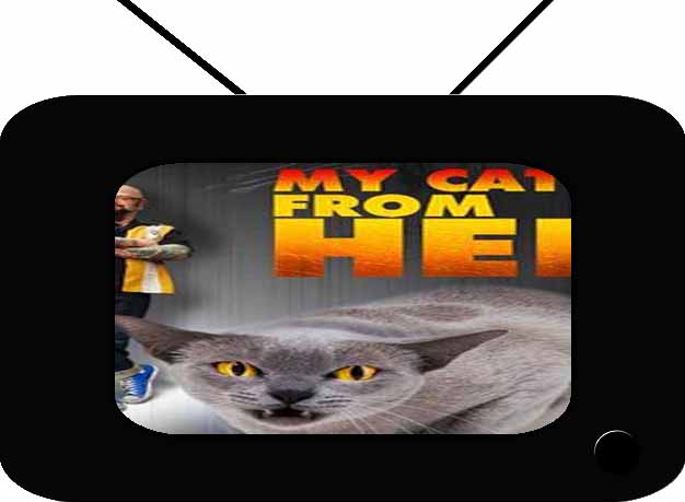 My Cat From Hell - Seasons 1-5 (image for) My Cat From Hell - Seasons 1-5